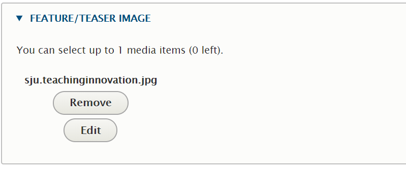 Screenshot of the field in Drupal that allows you to add an image to your content