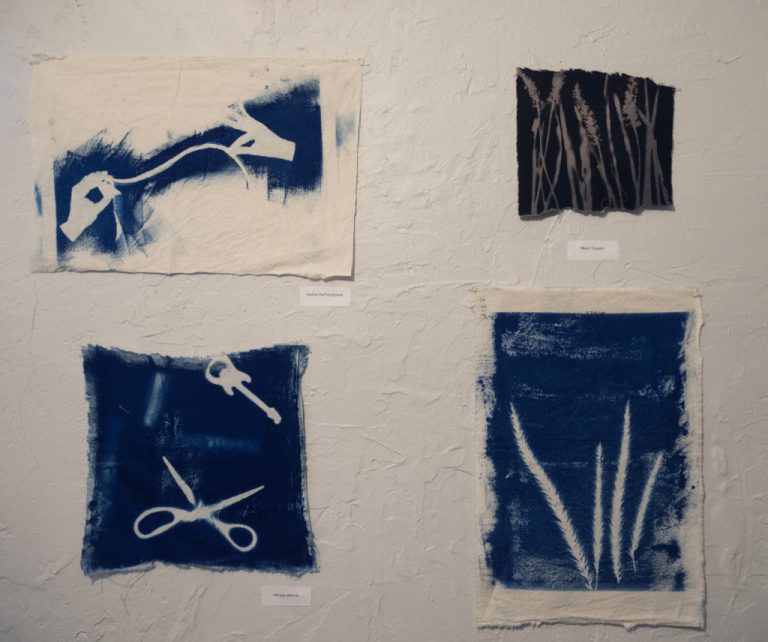 cyanotypes