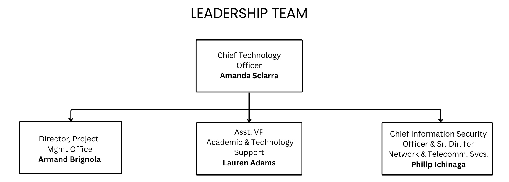 IT Leadership Team