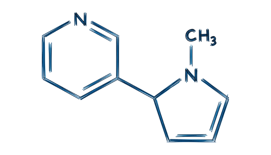 Nicotine chemical symbol