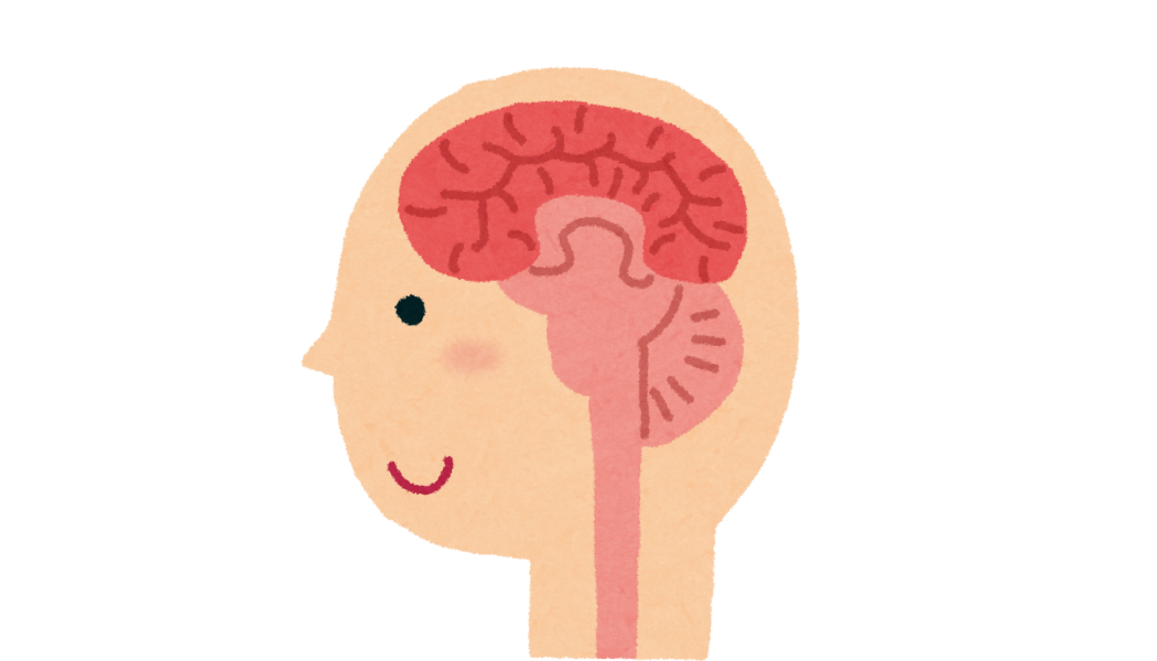 Teen brain