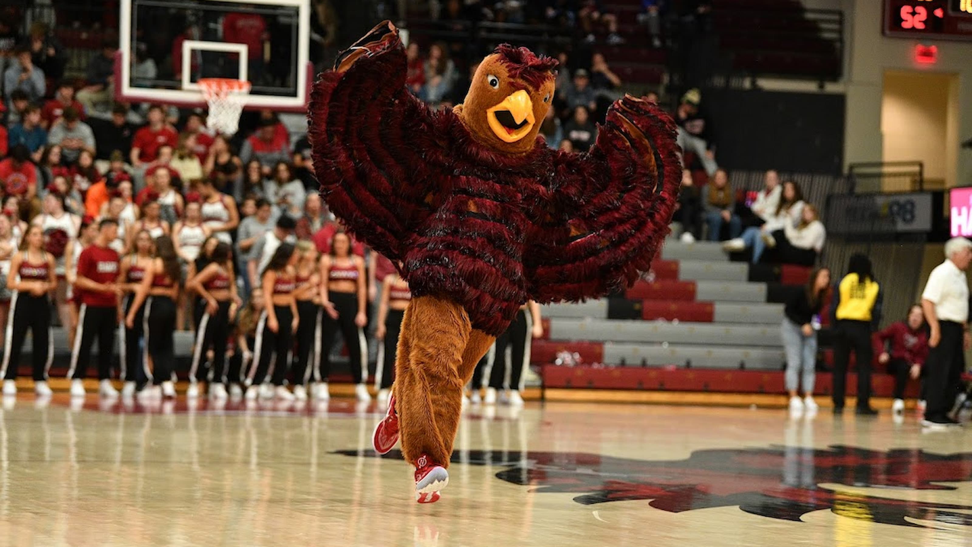 The Hawk flapping his wings inside Hagan Arena