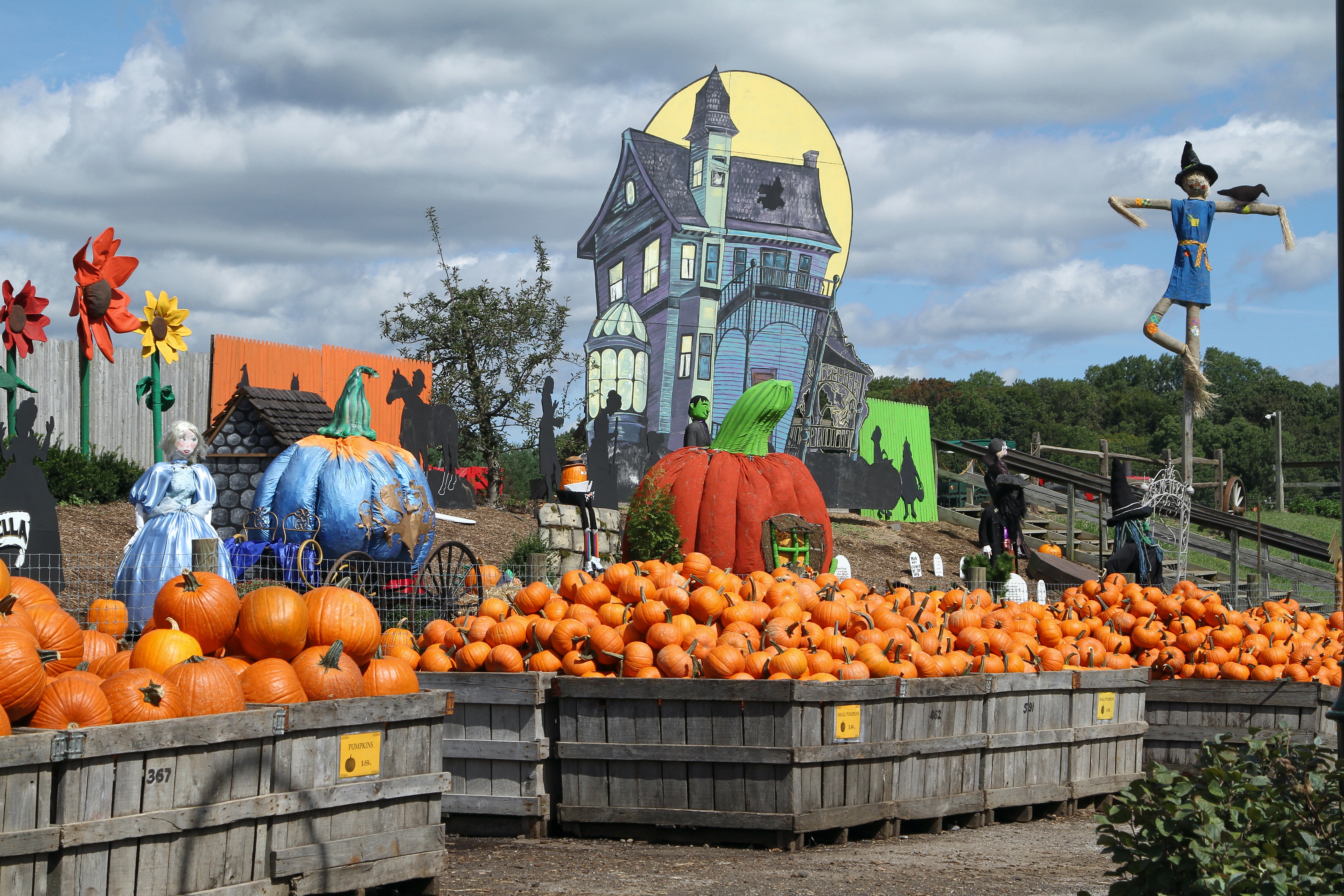 Linvilla Orchards Pumpkins, Haunted House and Decorations