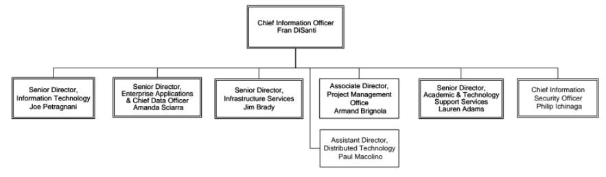 Organization Chart for Information Technology