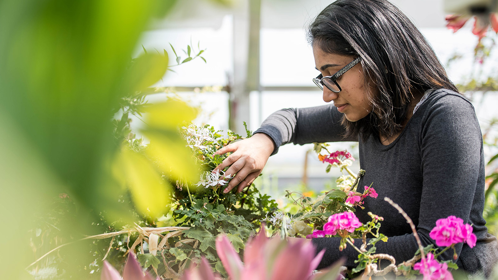 student looking at plants inside a greenhouse