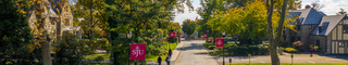 View of tree-lined Lapsley Lane in the Spring time.