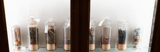 Marvin Samson Pharmacy Museum case