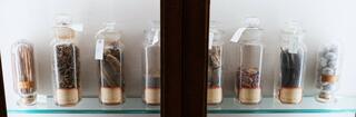 Display case shelf of botanical specimens jars