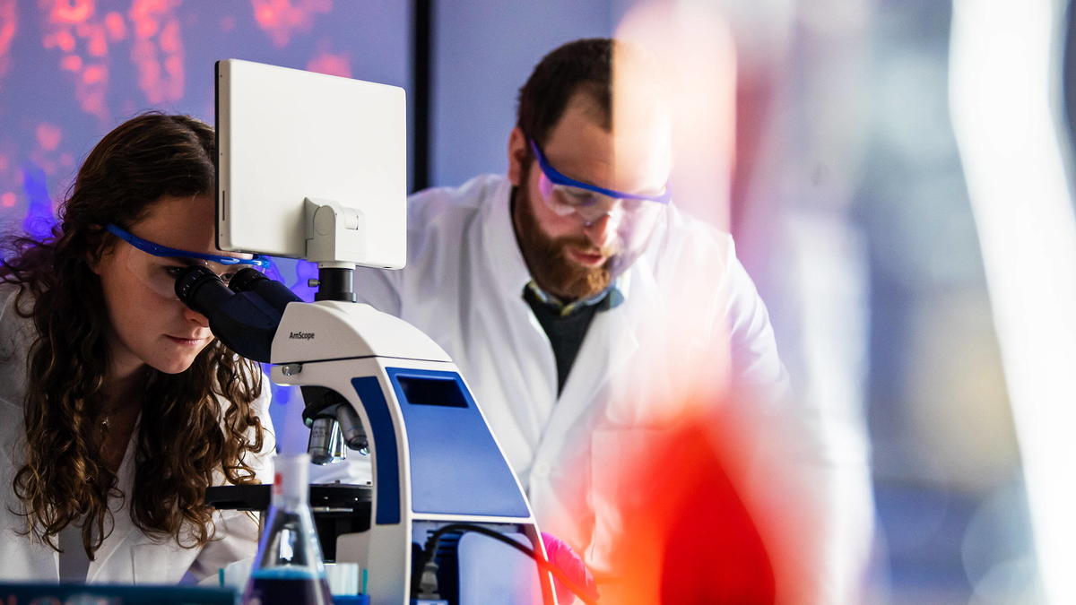 Graduate Academics Philadelphia PA | Saint Joseph's University