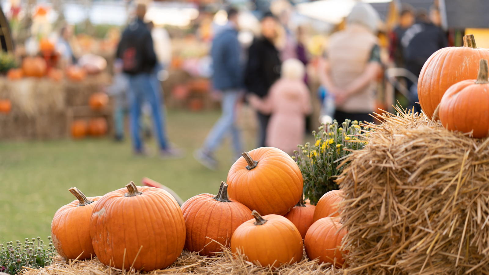 Pumpkins on haystack with blurred image of families in the background