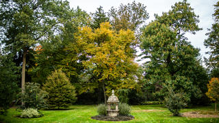 One of the lawns on the Arboretum's property