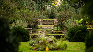 Flowers and foliage amongst stone steps on the Barnes' property