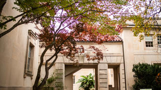 The side of the Barnes with a canopy of red and green leaves