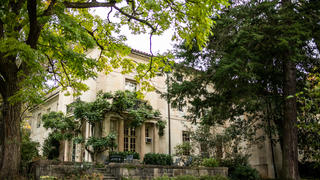 The Barnes beautiful architecture shows through vibrant green foliage adorning the building