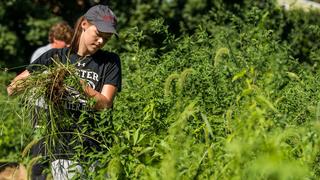 A student works in a field during a service immersion program.
