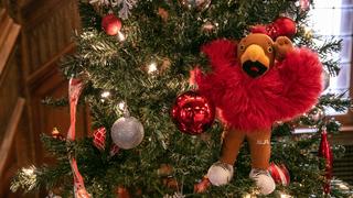 Hawk ornament hanging on Christmas tree