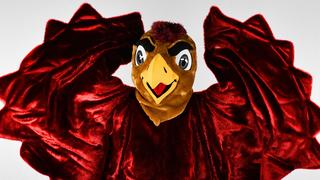On August 25, 2023, Saint Joseph's University revealed an updated version of the Hawk mascot on social media. Along with the customary brown tail and legs, The Hawk features a new-look wingspan that showcases the iconic flapping, along with a vivid and photogenic face.