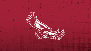 Saint Joseph's Hawk graphic