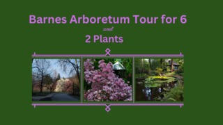 Arboretum tour