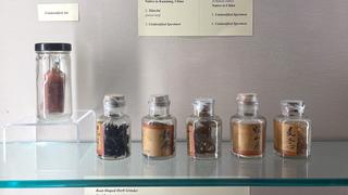 Pharmacy Education case