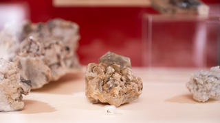 Natural Medicine - case