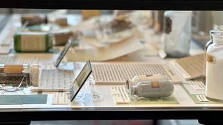 Herbs of Heritage: side of the display, installation view