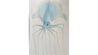 Student painting sea creature