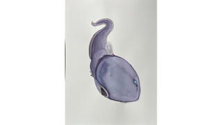 Student painting sea creature