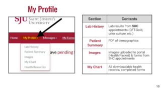 Health Portal Overview 10