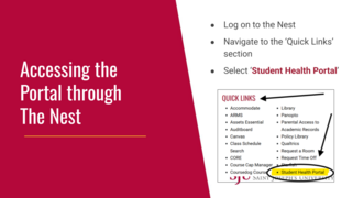 Health Portal Overview 4