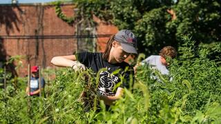 Saint Joseph's University students work in a garden setting