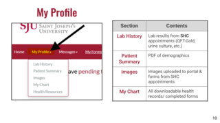 Health Portal Overview 10