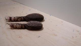Two pink hairbrushes, one smaller than the other, with brown hair encasing each, on a wooden shelf sprinkled with dried contact lenses. 