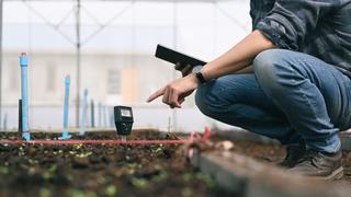 a man checking the soil inside a greenhouse