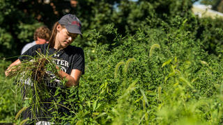 Student participating in community service