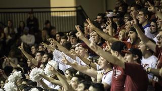 fans cheer at a basketball game