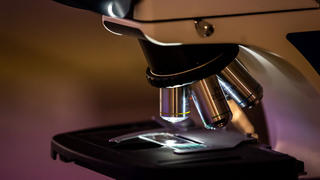june-2022-microscope-3200x1800.jpg
