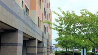 exterior of rashford hall at saint joseph's university