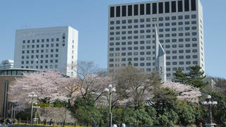 sophia university in japan
