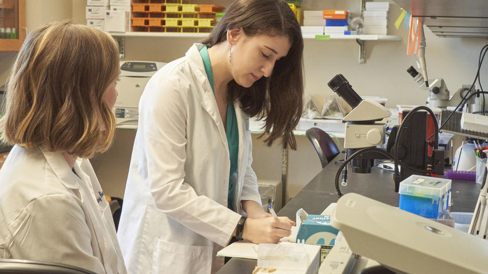 Saint Joseph's students dressed in white coats working in a biology lab, taking notes on paper