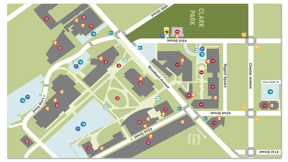 Illustration of University Campus for Saint Joseph's University