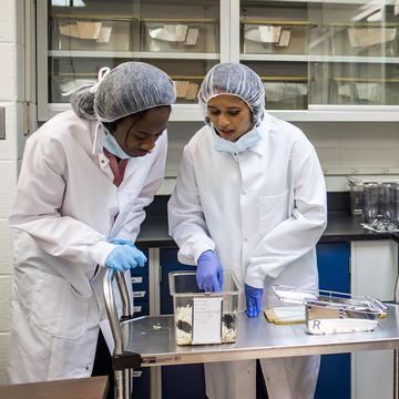 two graduate students doing research at saint joseph's university
