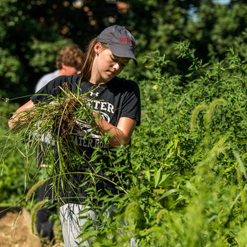 A student working a garden plot