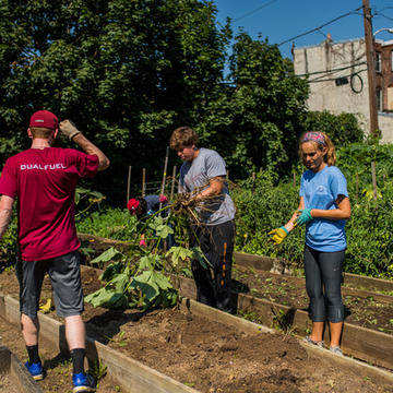 Students working a garden plot