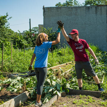 Two students exchanging a high-five as they work in a community garden