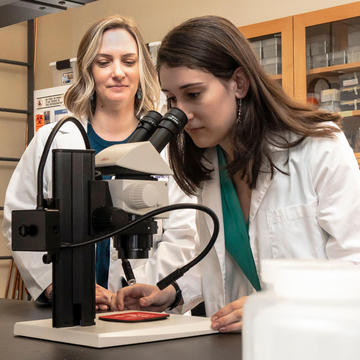 Saint Joseph''s University neuroscience students in a lab looking at a microscope