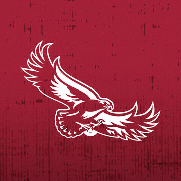 Saint Joseph's Hawk graphic
