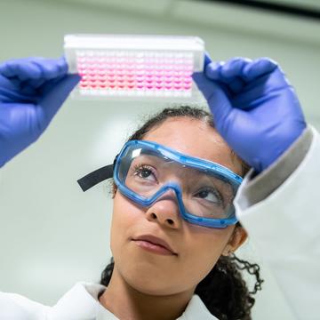 Student wearing goggles and rubber gloves in a lab holding a specimen up to the light and inspecting it