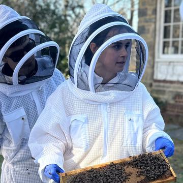 Four students in white beekeeper suits; one is holding a frame with bees and honeycomb