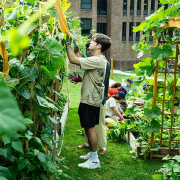 Saint Joseph's students in the community garden